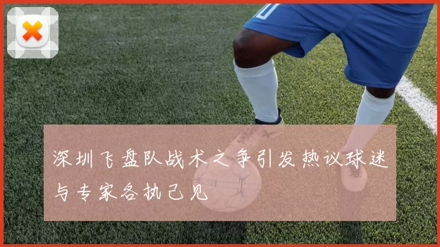 深圳飞盘队战术之争引发热议球迷与专家各执己见
