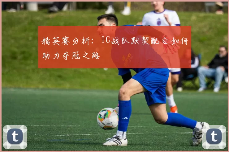 精英赛分析：IG战队默契配合如何助力夺冠之路