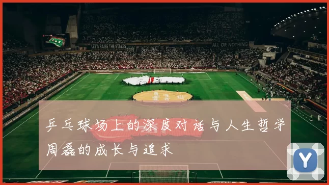 乒乓球场上的深度对话与人生哲学周磊的成长与追求