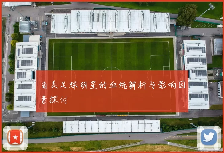 南美足球明星的血统解析与影响因素探讨