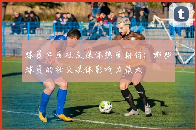 球员年度社交媒体热度排行：哪些球员的社交媒体影响力最大