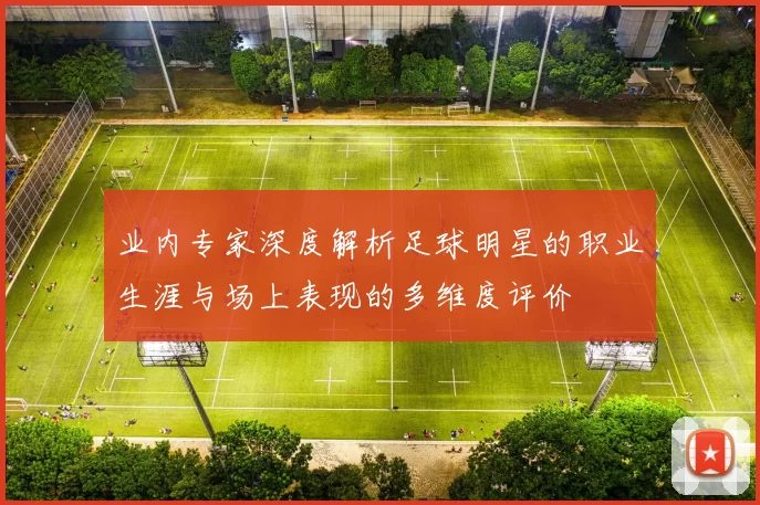 业内专家深度解析足球明星的职业生涯与场上表现的多维度评价
