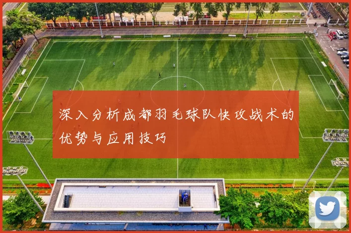 深入分析成都羽毛球队快攻战术的优势与应用技巧