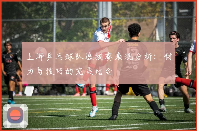 上海乒乓球队选拔赛表现分析：耐力与技巧的完美结合