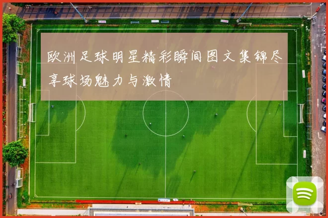 欧洲足球明星精彩瞬间图文集锦尽享球场魅力与激情