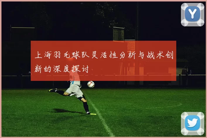 上海羽毛球队灵活性分析与战术创新的深度探讨