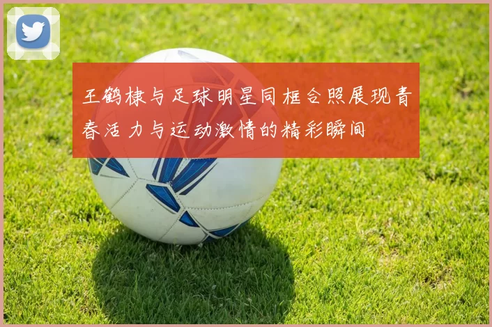 王鹤棣与足球明星同框合照展现青春活力与运动激情的精彩瞬间