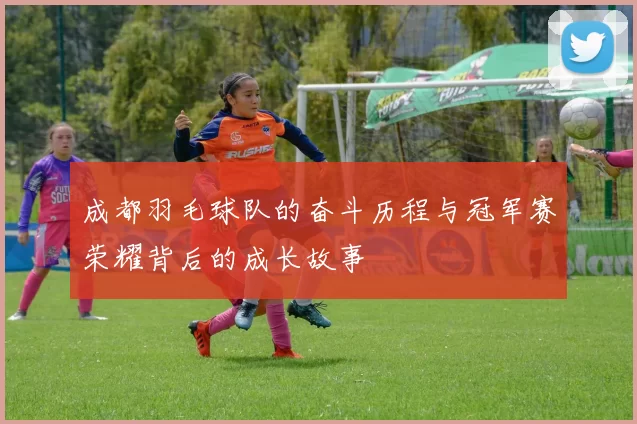 成都羽毛球队的奋斗历程与冠军赛荣耀背后的成长故事