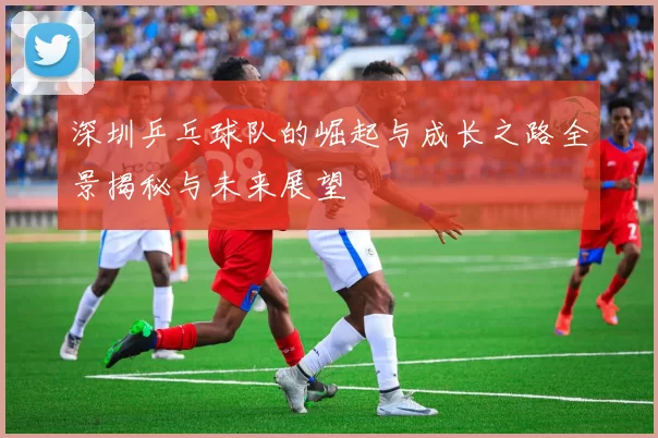 深圳乒乓球队的崛起与成长之路全景揭秘与未来展望