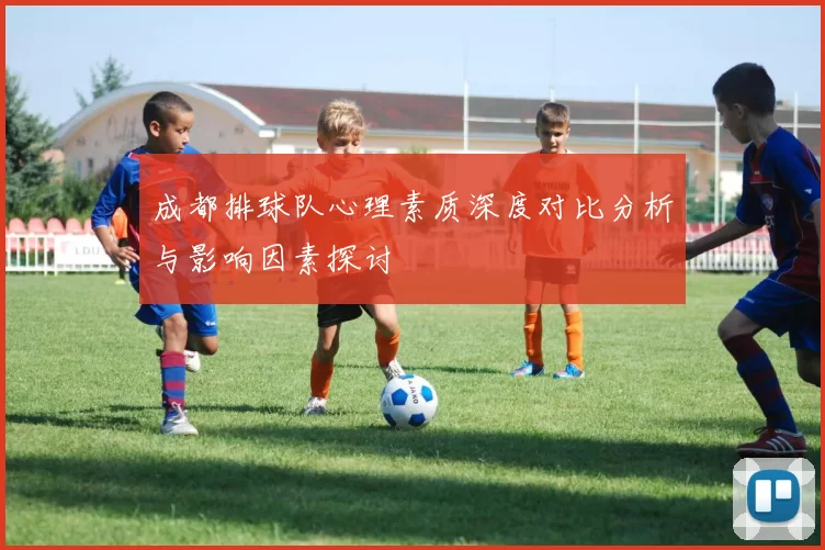 成都排球队心理素质深度对比分析与影响因素探讨