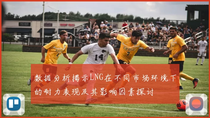 数据分析揭示LNG在不同市场环境下的耐力表现及其影响因素探讨