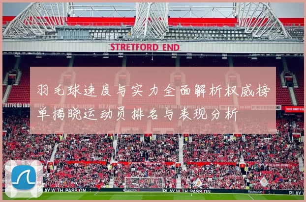 羽毛球速度与实力全面解析权威榜单揭晓运动员排名与表现分析