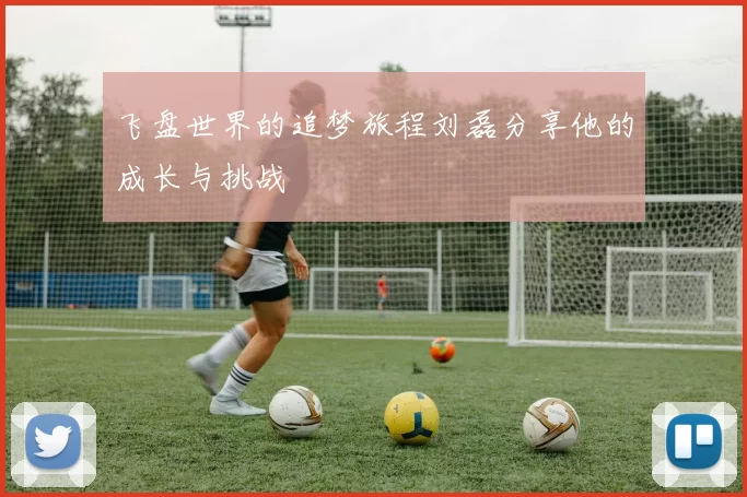 飞盘世界的追梦旅程刘磊分享他的成长与挑战