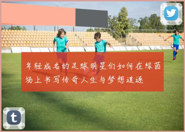年轻成名的足球明星们如何在绿茵场上书写传奇人生与梦想追逐