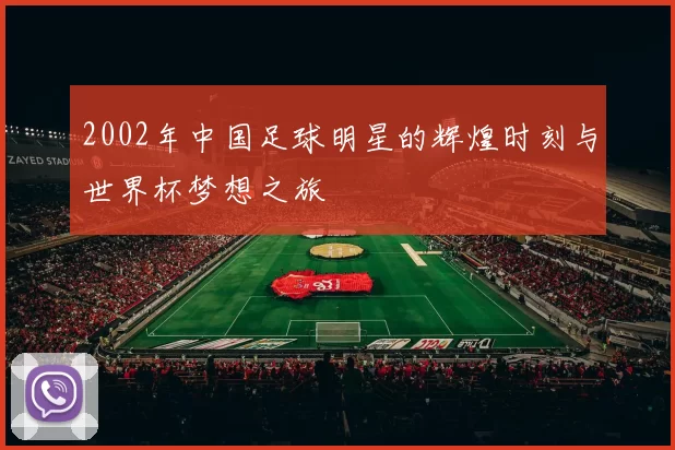 2002年中国足球明星的辉煌时刻与世界杯梦想之旅