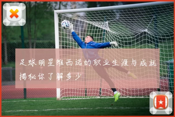 足球明星维西诺的职业生涯与成就揭秘你了解多少