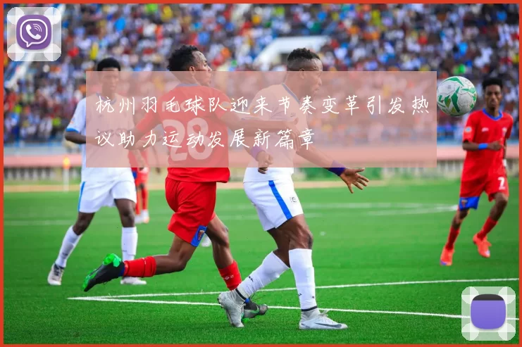 杭州羽毛球队迎来节奏变革引发热议助力运动发展新篇章