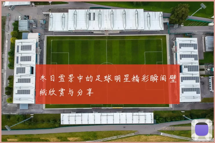 冬日雪景中的足球明星精彩瞬间壁纸欣赏与分享