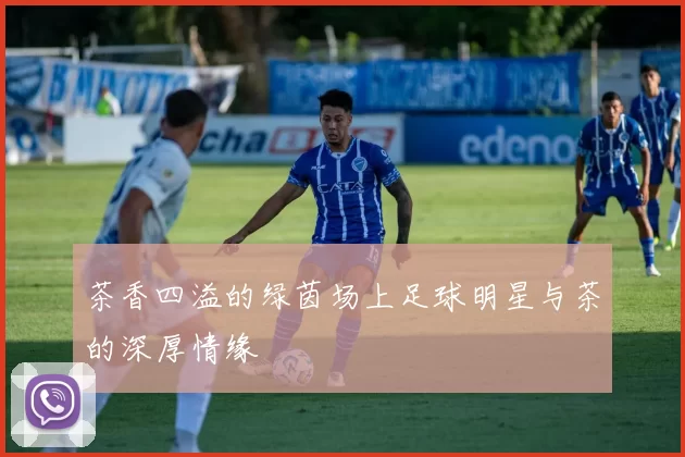 茶香四溢的绿茵场上足球明星与茶的深厚情缘