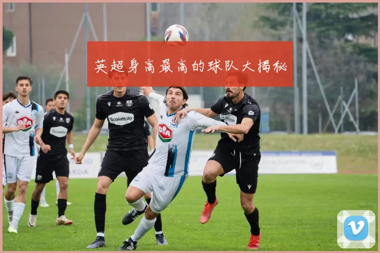 英超身高最高的球队大揭秘