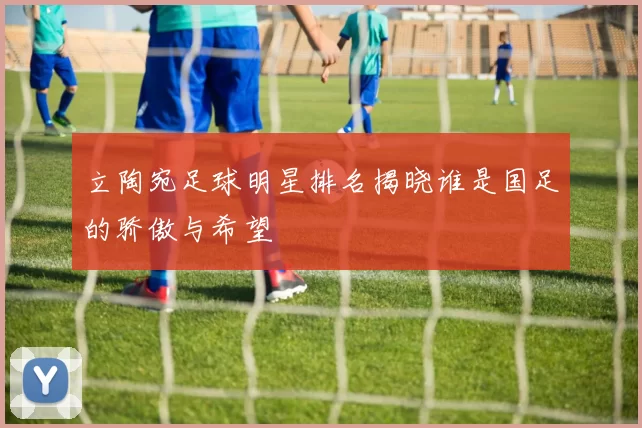 立陶宛足球明星排名揭晓谁是国足的骄傲与希望