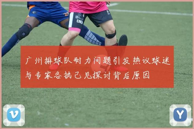 广州排球队耐力问题引发热议球迷与专家各执己见探讨背后原因