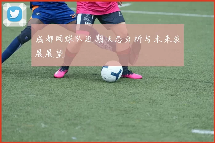 成都网球队近期状态分析与未来发展展望