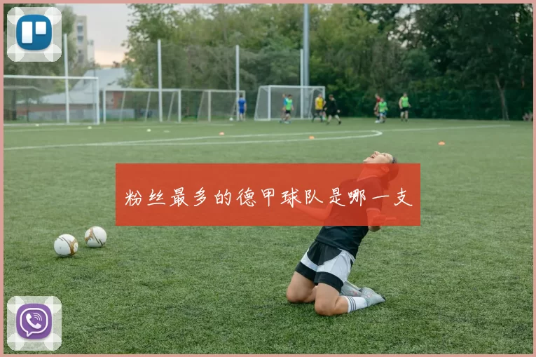 粉丝最多的德甲球队是哪一支