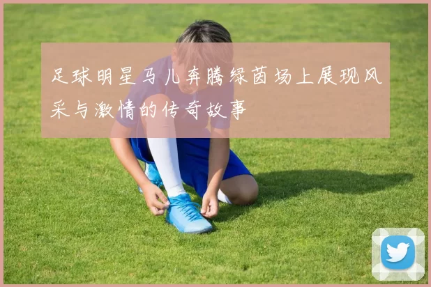 足球明星马儿奔腾绿茵场上展现风采与激情的传奇故事