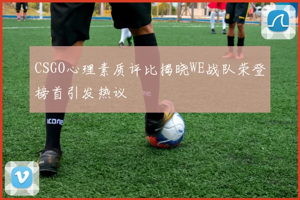 CSGO心理素质评比揭晓WE战队荣登榜首引发热议