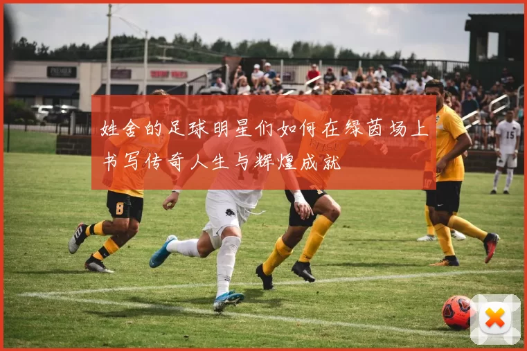 姓舍的足球明星们如何在绿茵场上书写传奇人生与辉煌成就