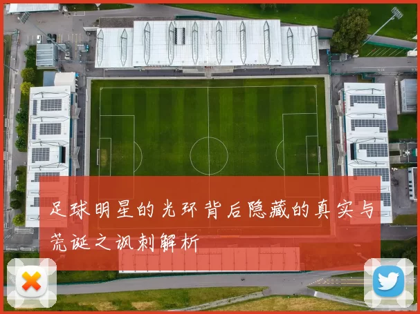 足球明星的光环背后隐藏的真实与荒诞之讽刺解析
