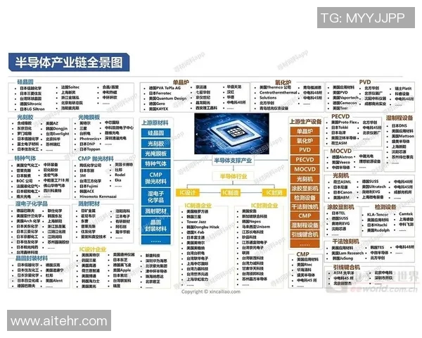 杭州排球队的控制革新探索与实践全景解析