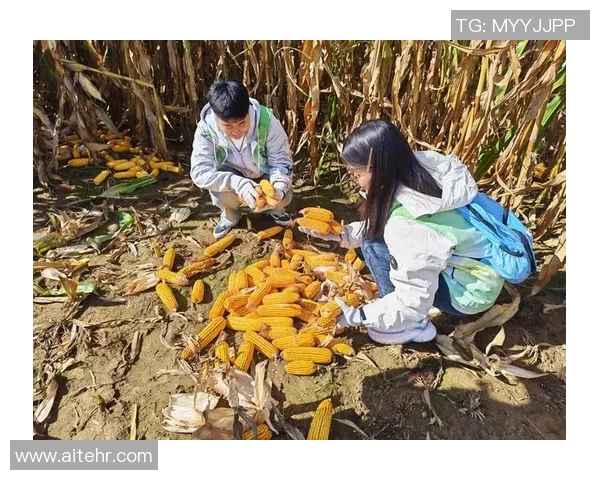 五谷丰登：探索五谷农作物的多样性与现代农业发展之路