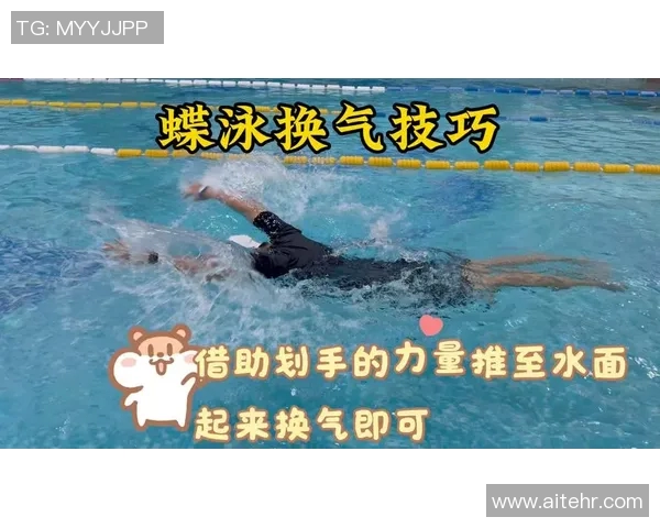 蝶泳比赛规则详解与技巧分析:从起跳到触壁的全程规范解析